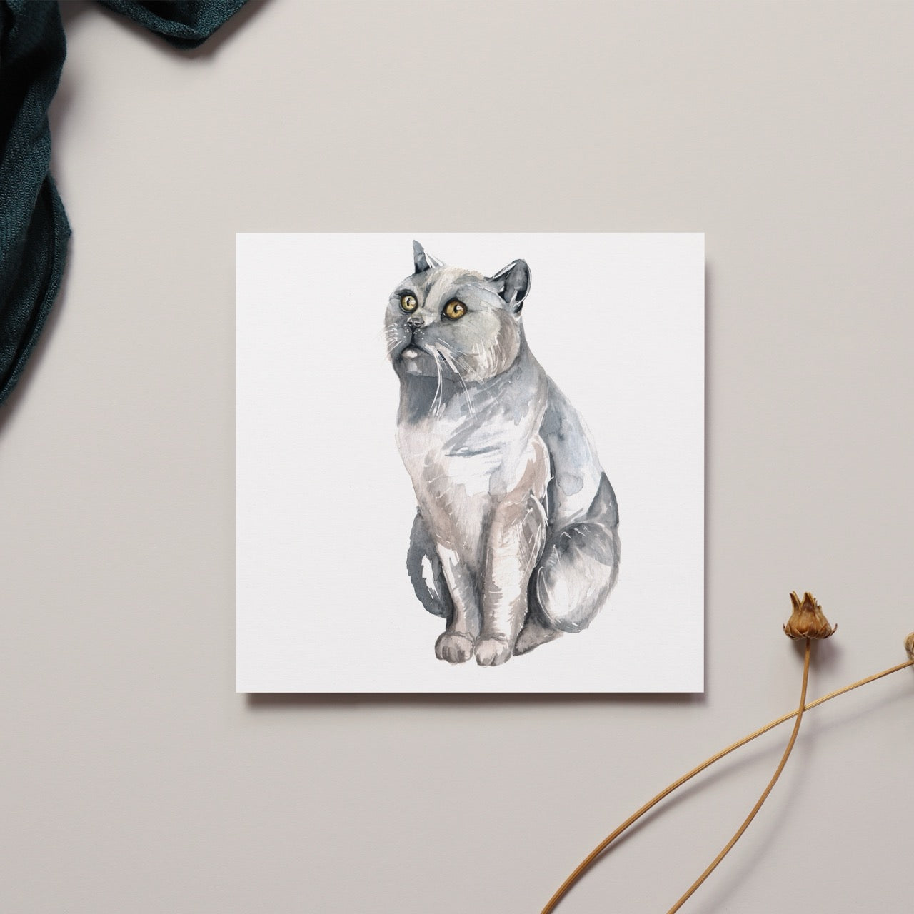 Grey Cat Greeting Card