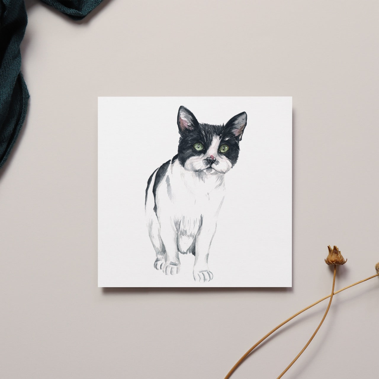 Black and White Cat Greeting Card