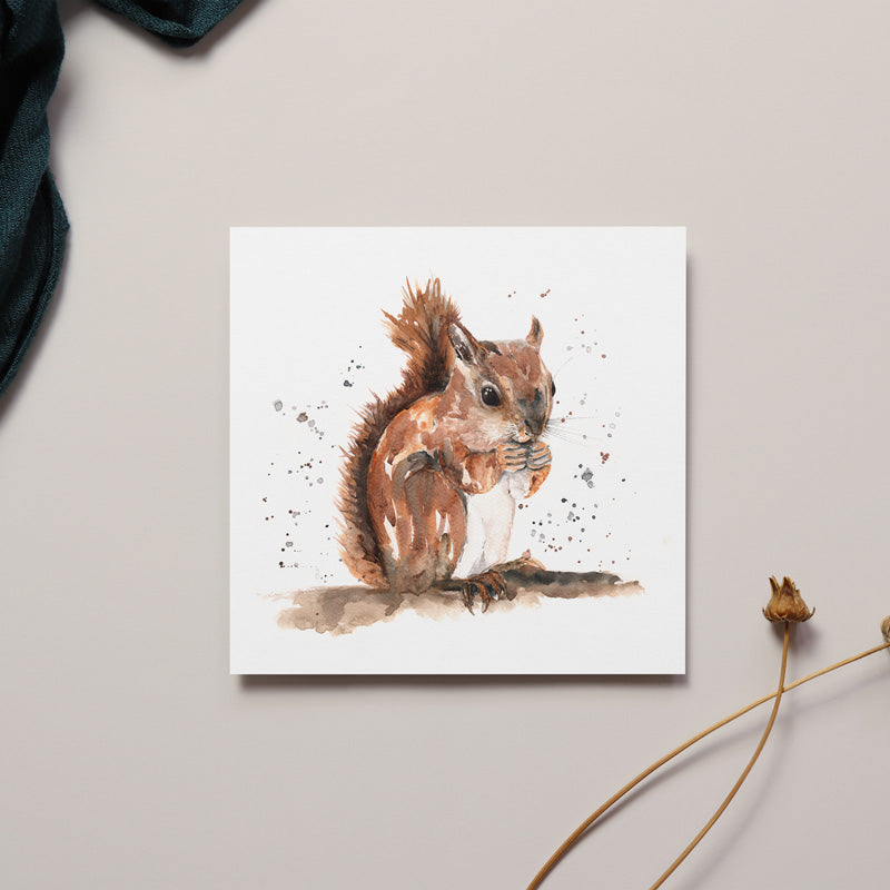 SQUIRREL Greeting Card