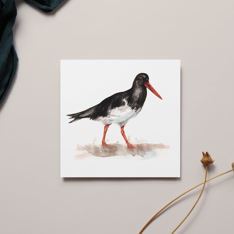 Oyster Catcher Watercolour Design Card