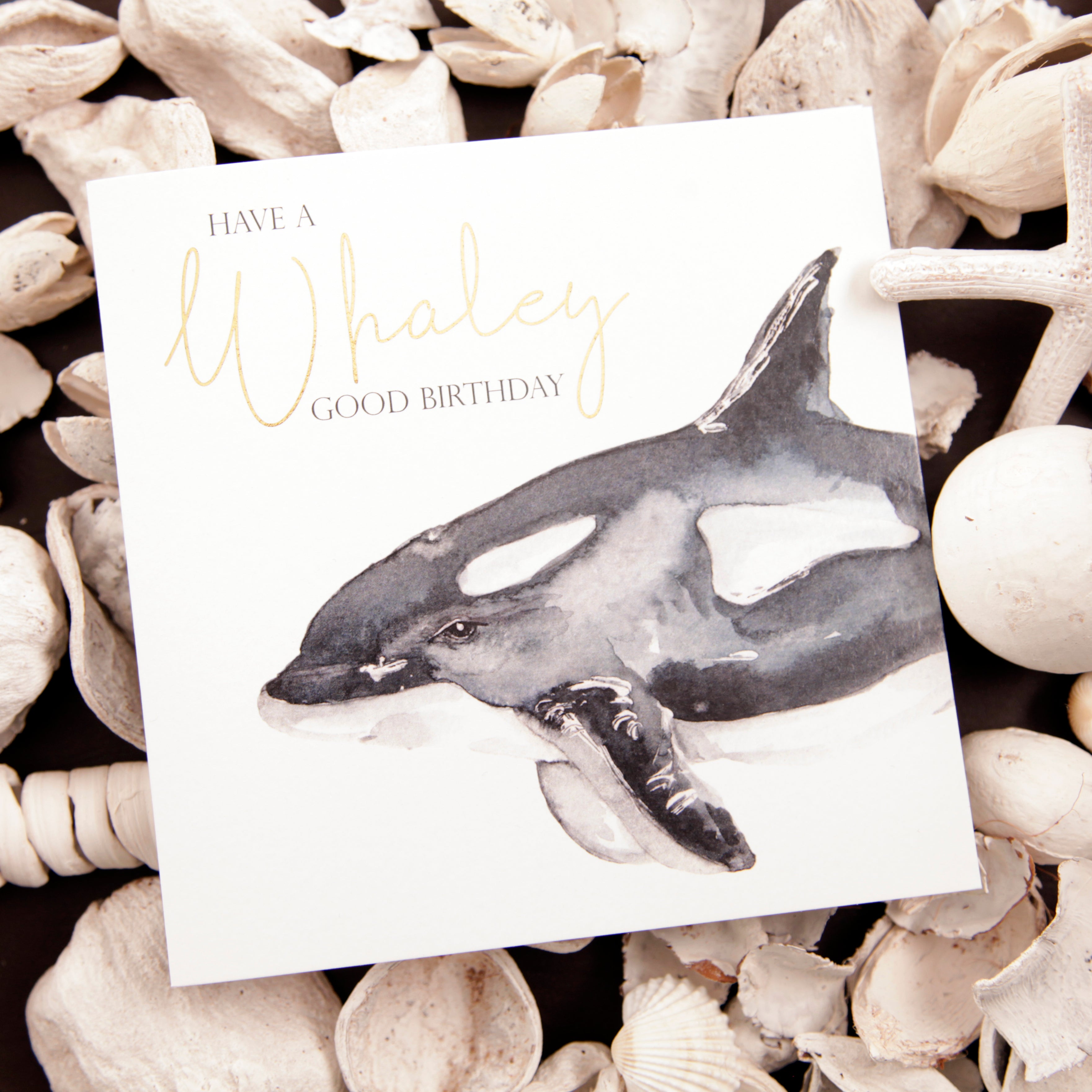 Happy Birthday -Whaley Good Birthday Whale Design Greeting Card