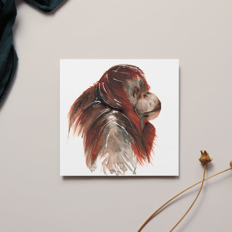 Orangutang Card